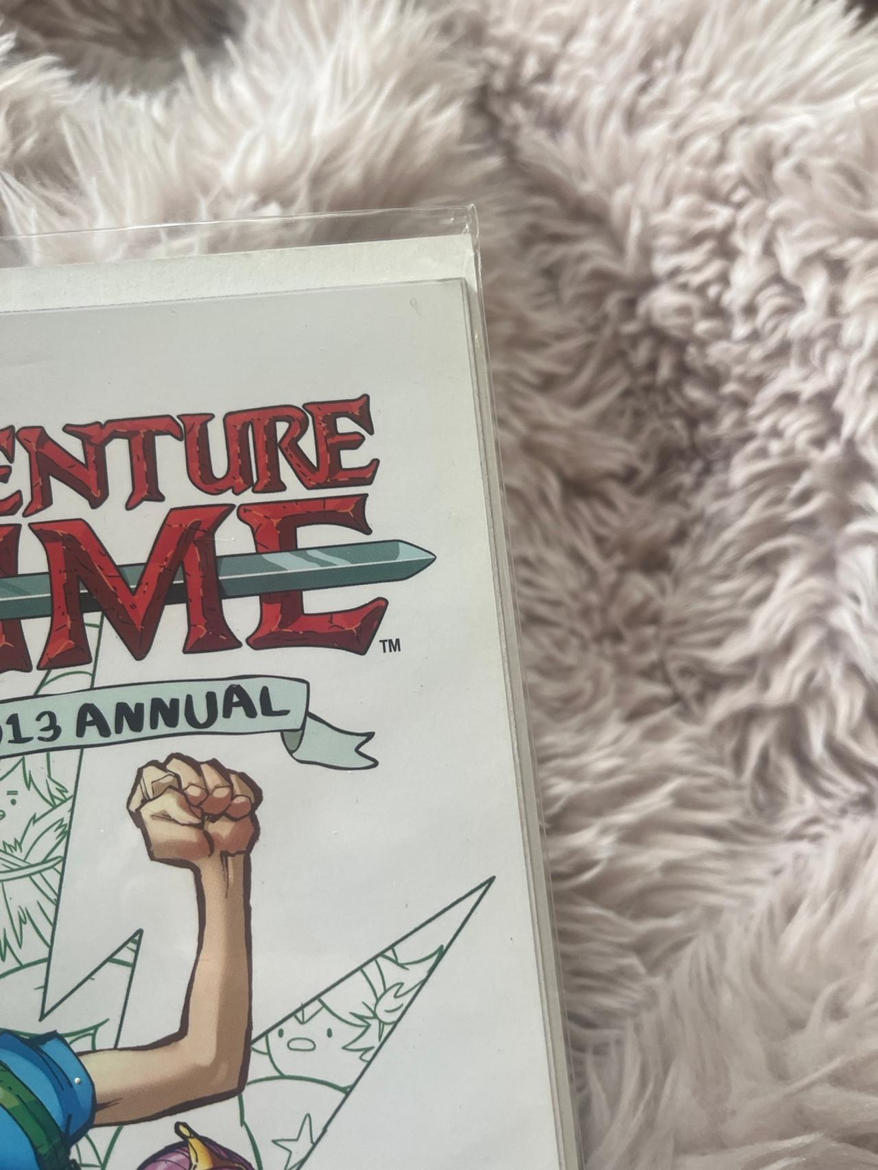 Adventure Time 2013 Annual Cover A — image 4