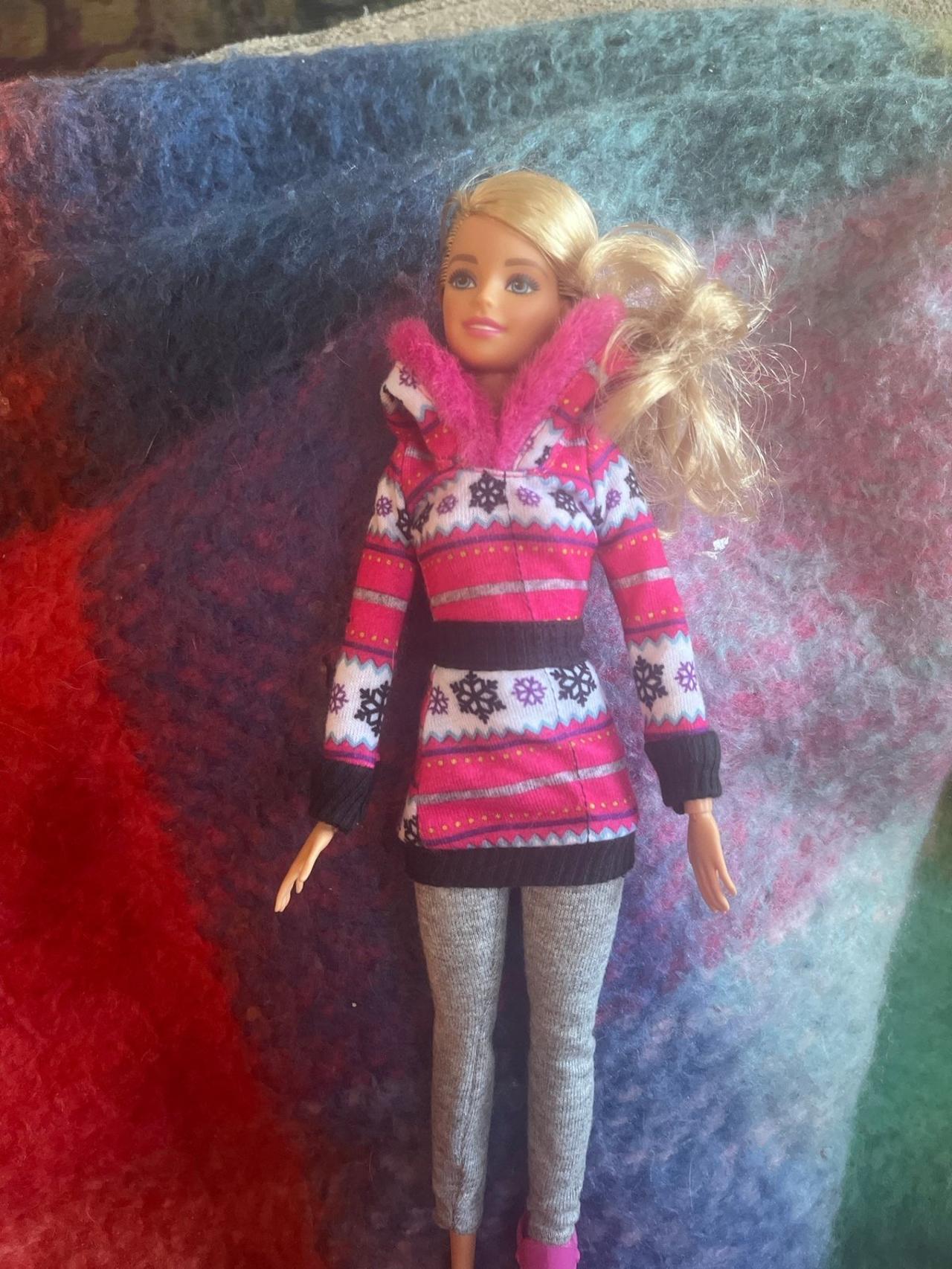 Barbie Winter Snow Fun Pack 2013 Barbie Only