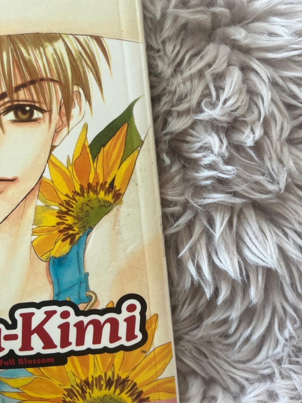 Hana Kimi by Hisaya Nakajo Vol 5 — image 4