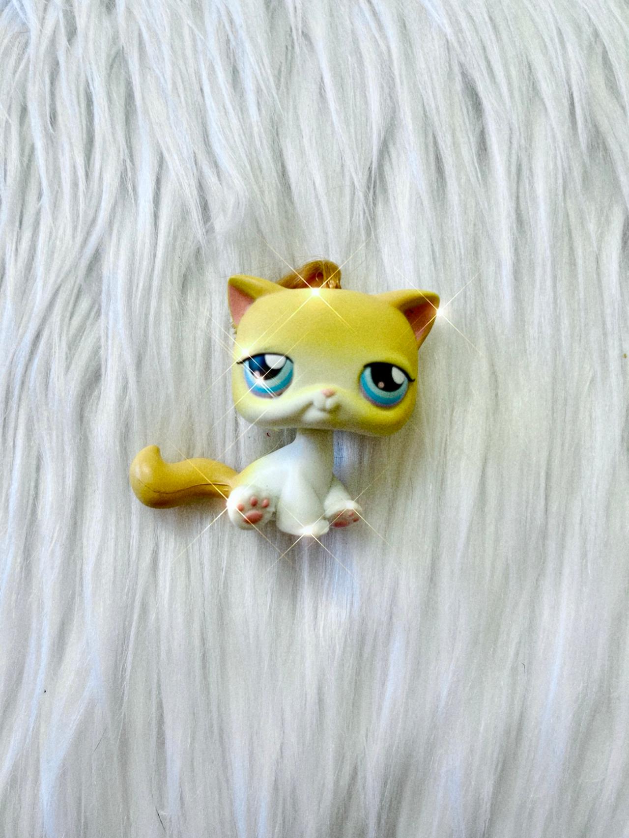 Littlest Pet Shop LPS Yellow White Cat #42 2004-2005 READ