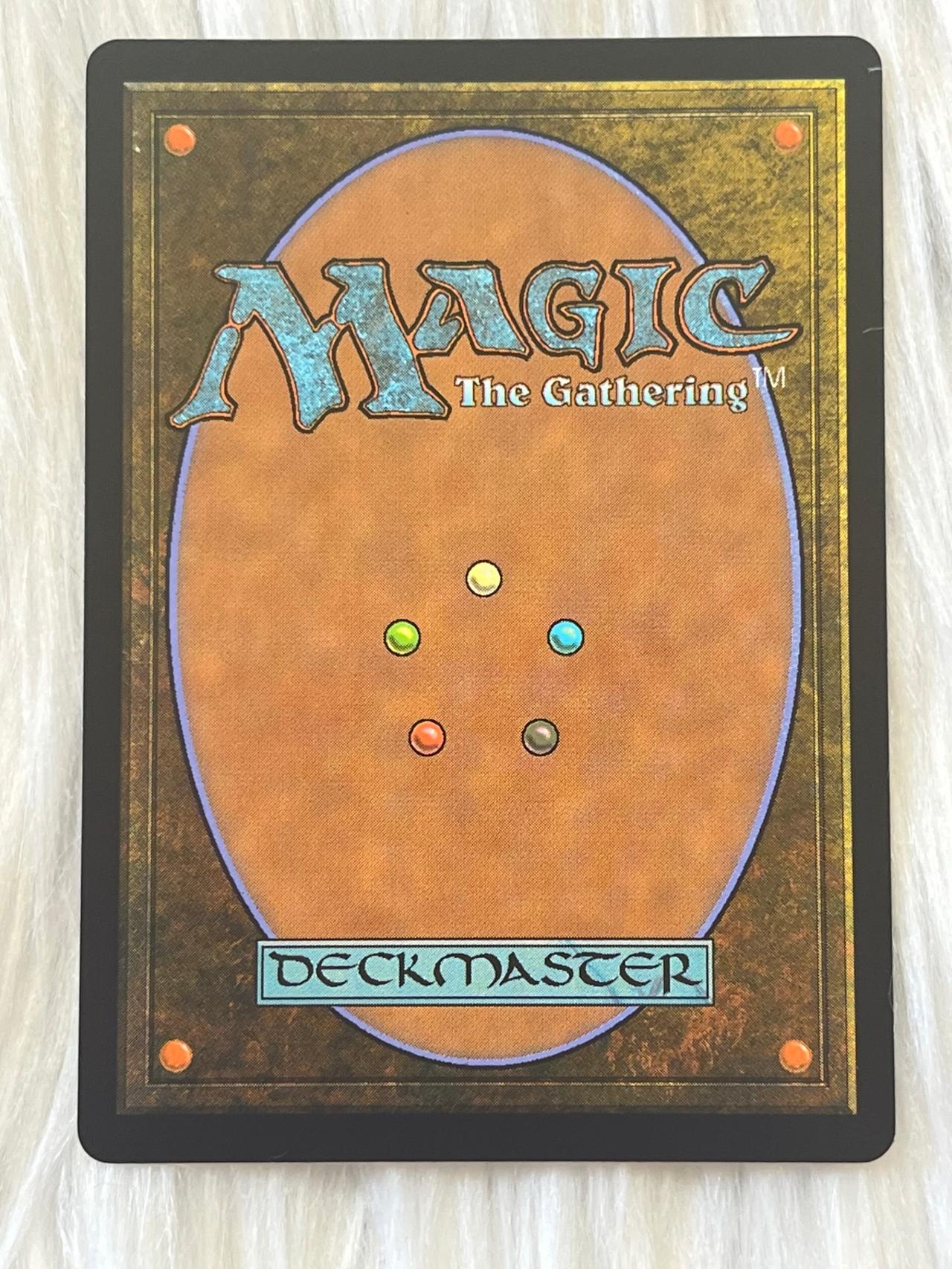 Magic the Gathering x Avatar The Last Airbender Swampsnare Trap C0120 NF — image 6
