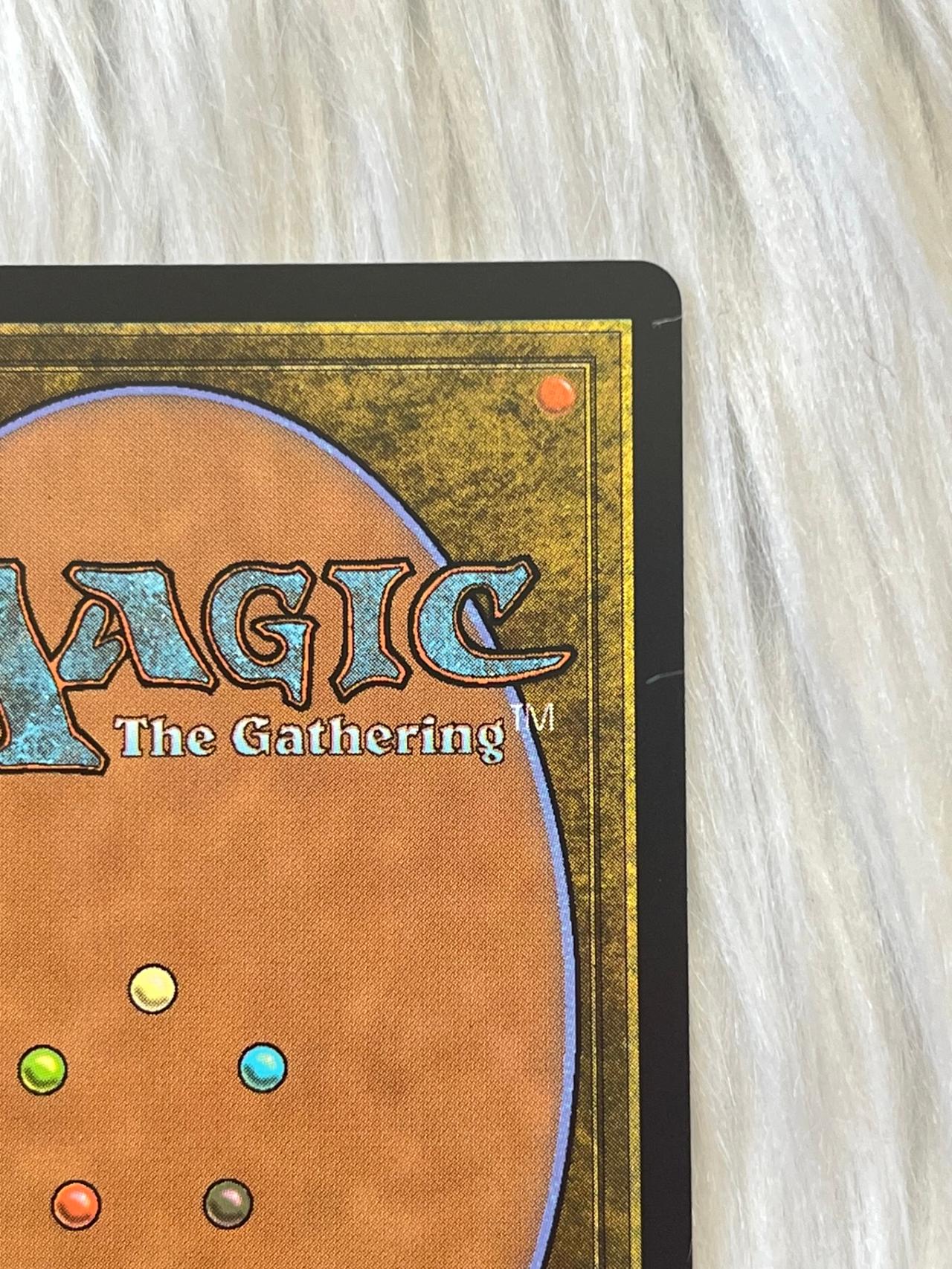 Magic the Gathering x Avatar The Last Airbender Swampsnare Trap C0120 NF — image 9