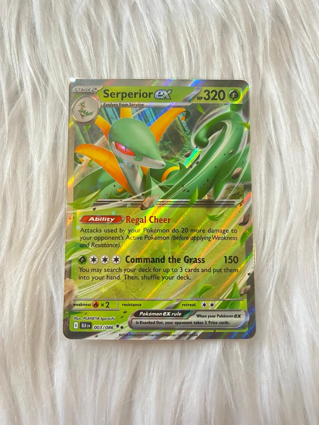 Pokémon TCG Black Bolt Serperior EX 003/086 Mint-NM READ — image 5