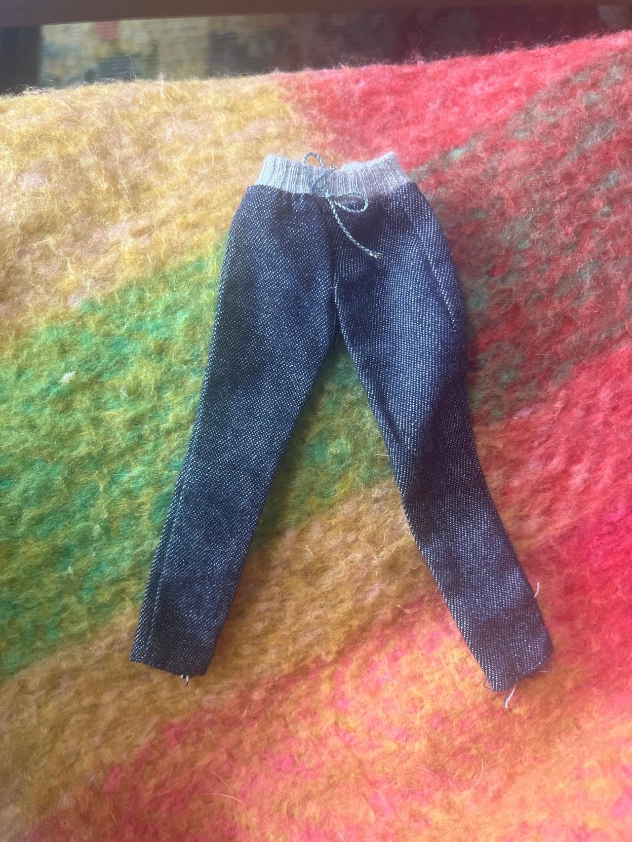 Rainbow High/Barbie (?) Pants