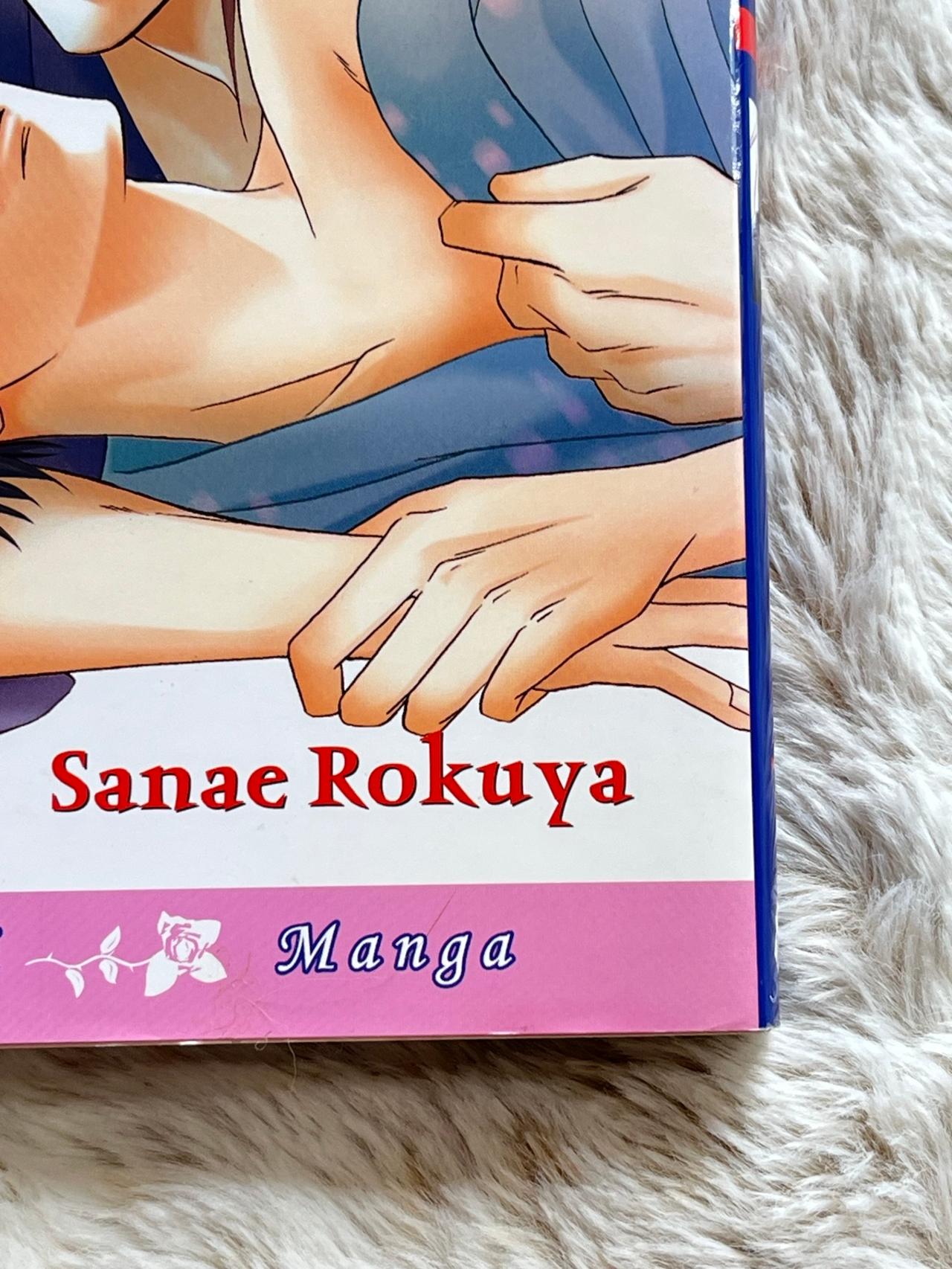 RED by Sanae Rokuya NM 1st Print BL June READ — image 3