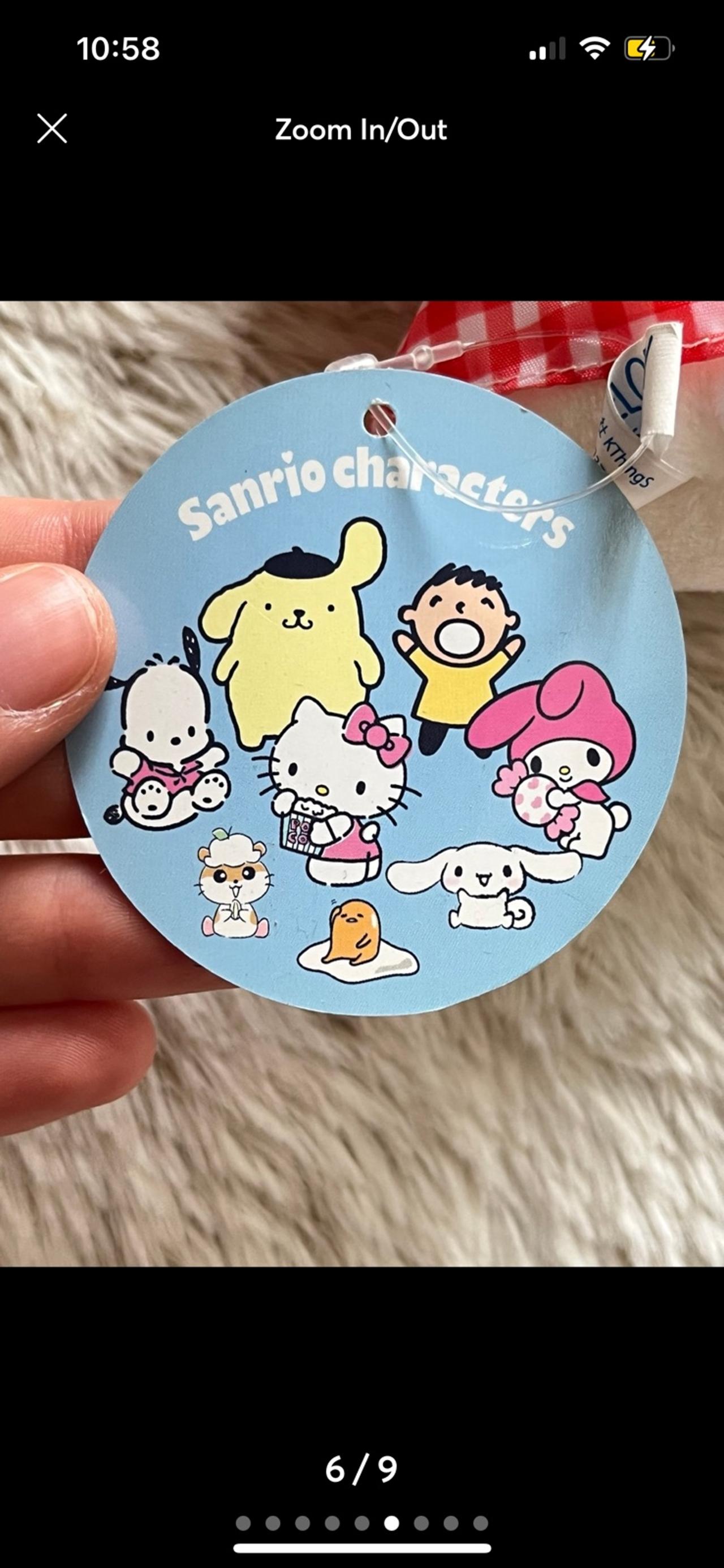 Sanrio My Melody Picnic Series Plush Keychain NWT READ — image 6