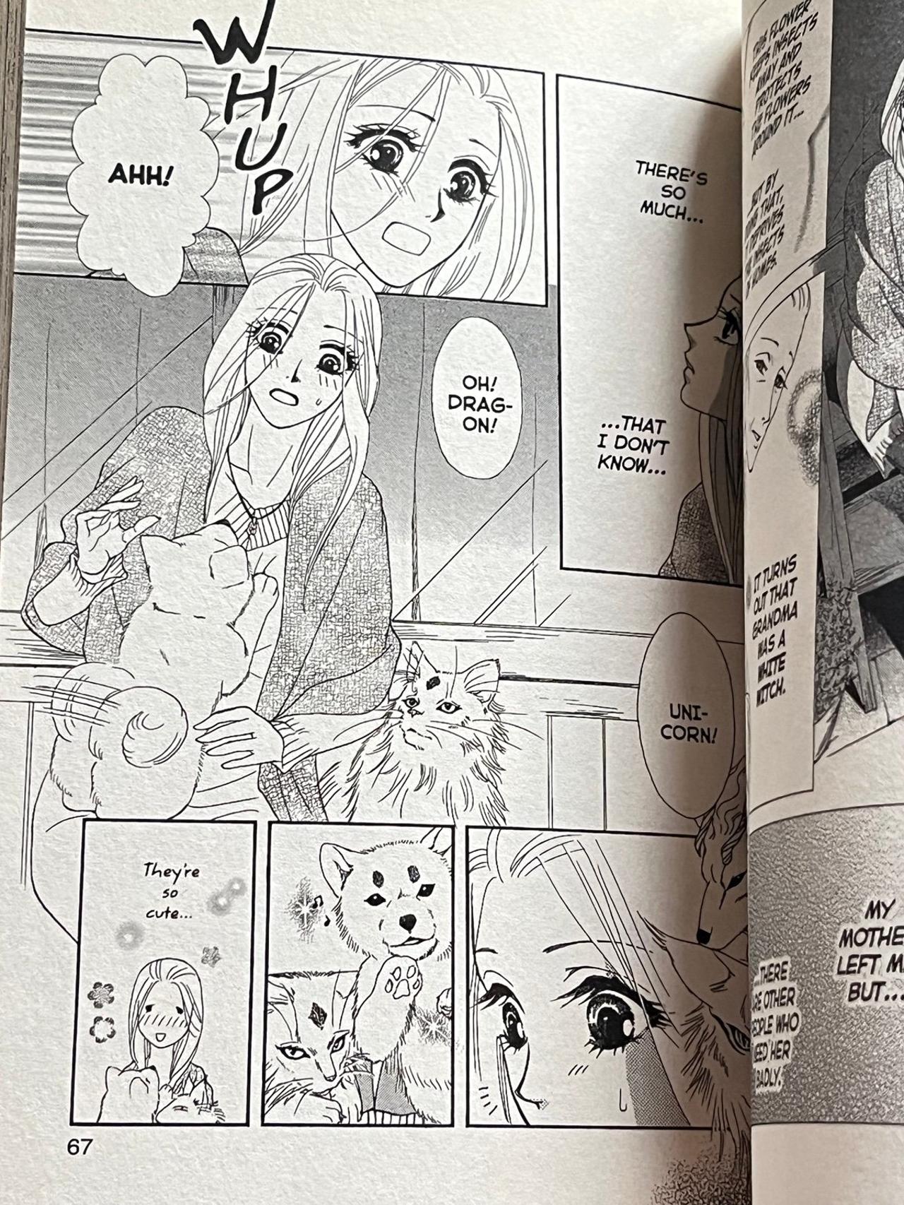 Spell of Desire by Tomu Ohmi Vol 1 Near Mint 1st Print SB READ — image 11