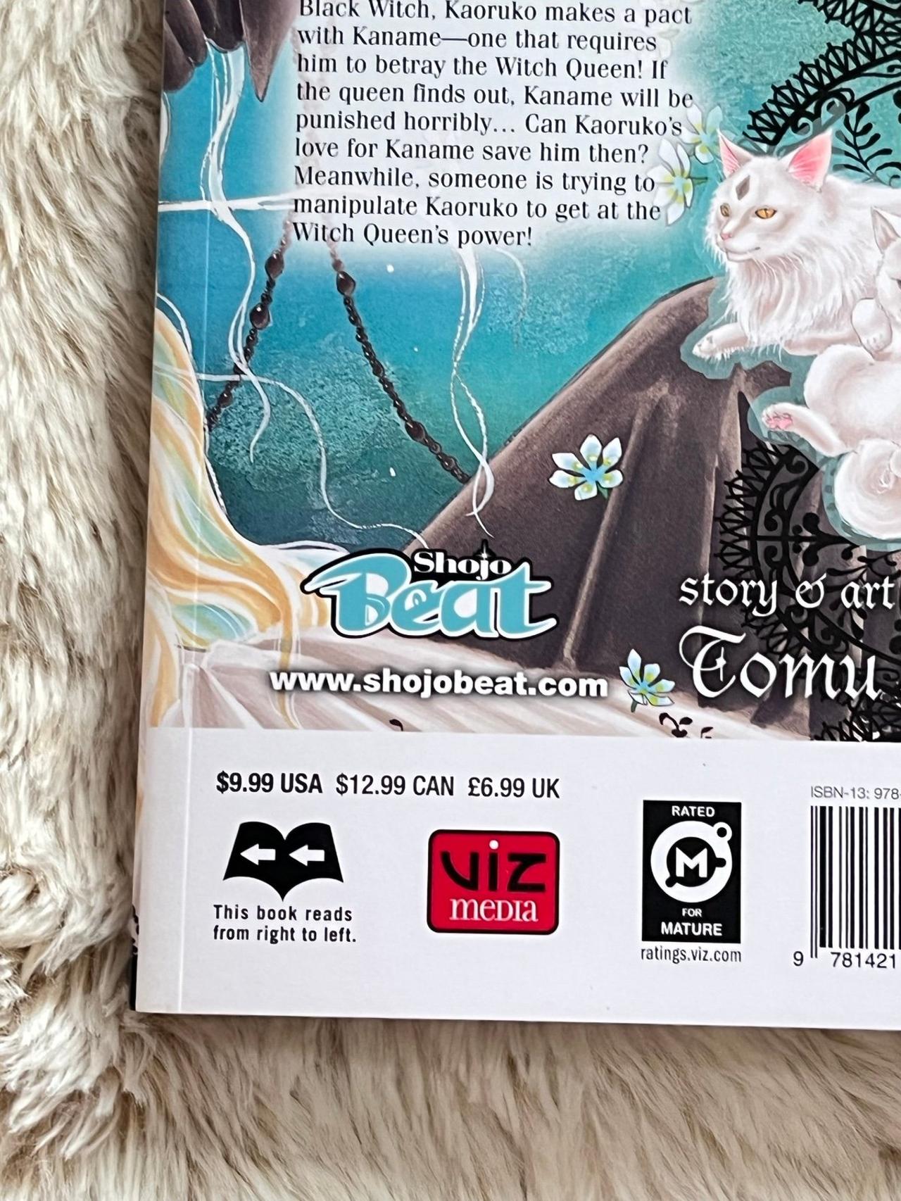 Spell of Desire by Tomu Ohmi Vol 4 Near Mint 1st Print SB READ — image 7