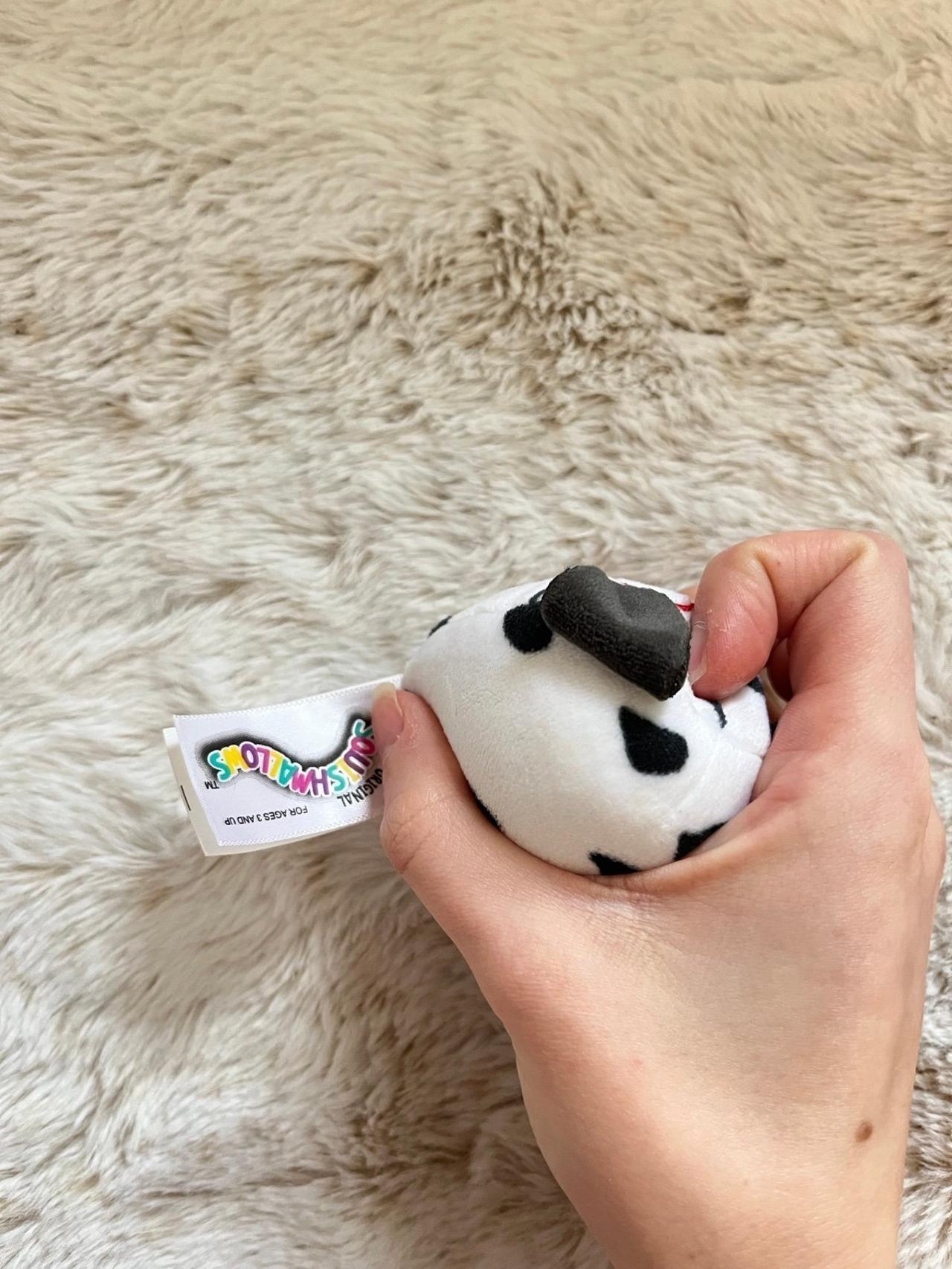 Squishmallow Official Micromallow Dustin Dalmatian 2-3” Plush LNWOT — image 3