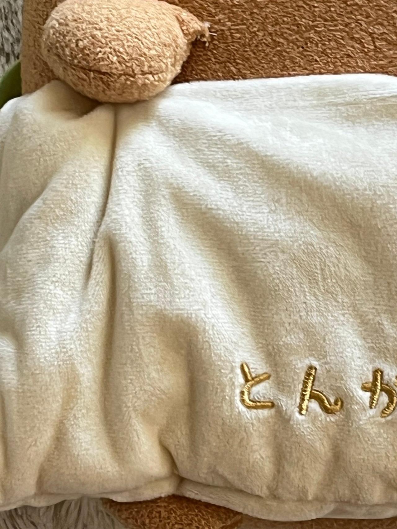 Sumikko Gurashi Tonkatsu Sandwich Plush 12.5-13” LARGE LNWT READ — image 5