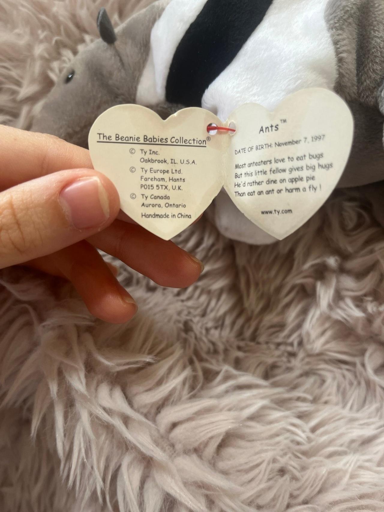 Ty Beanie Babies Ants The Anteater TAG ERRORS — image 6