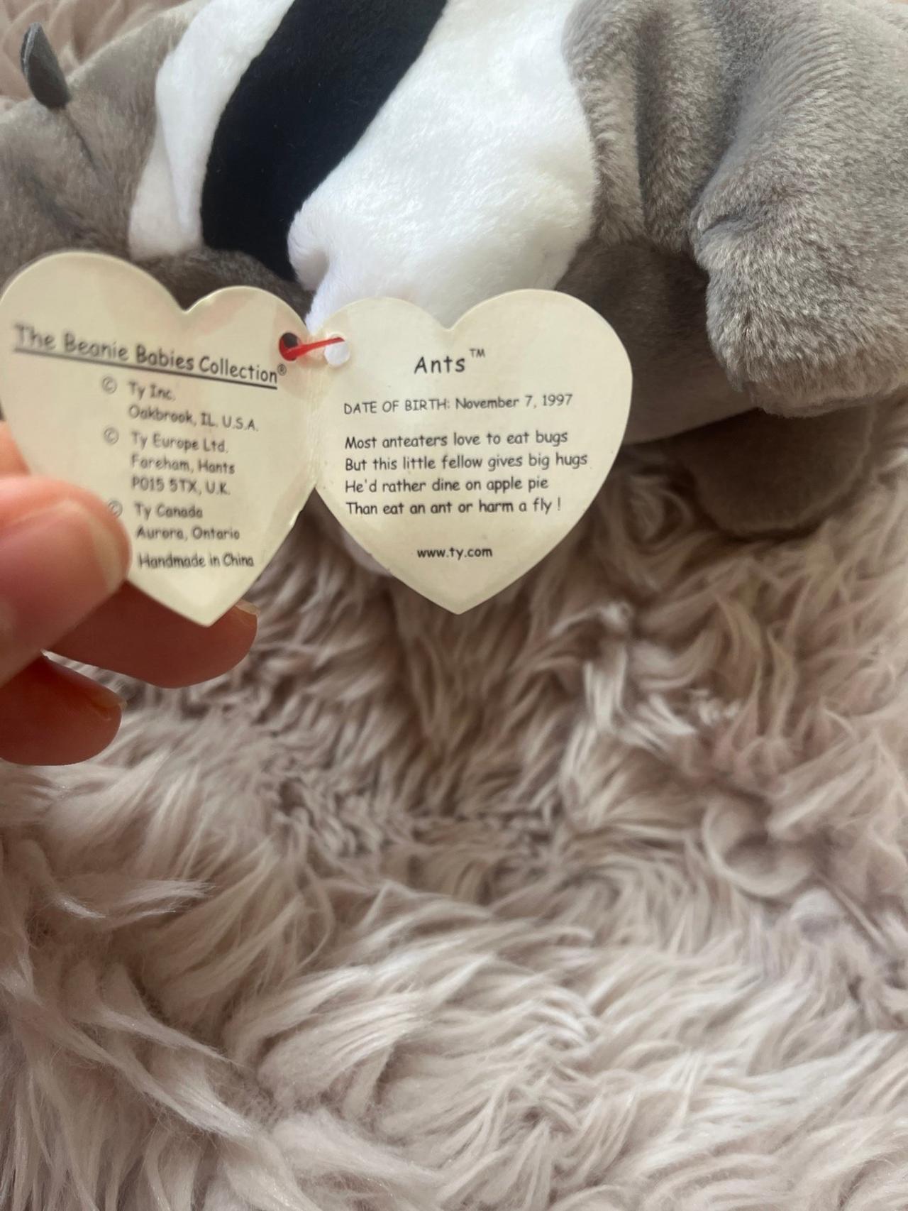 Ty Beanie Babies Ants The Anteater TAG ERRORS — image 7