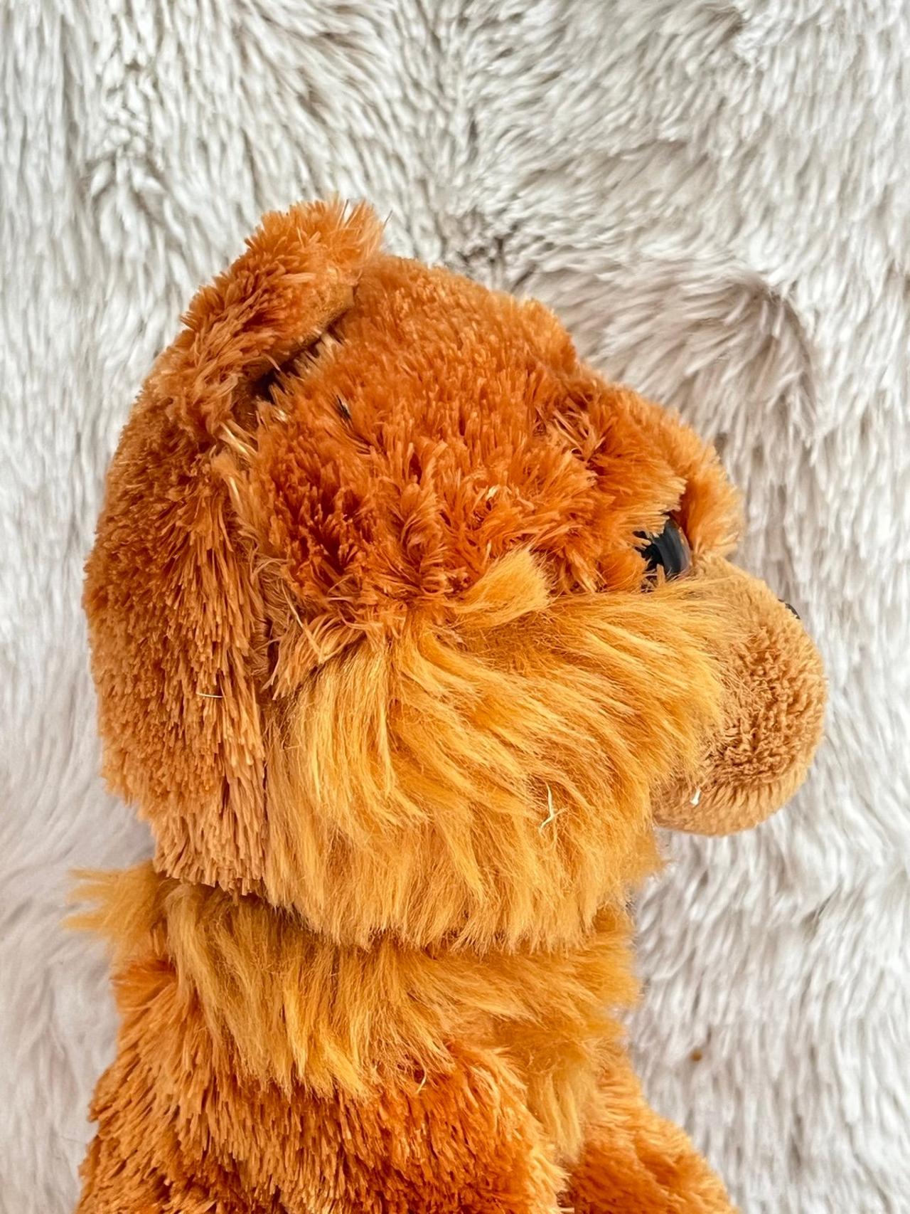 TY Beanie Boos “Barley” 6 Inch Plush LNWT READ — image 9