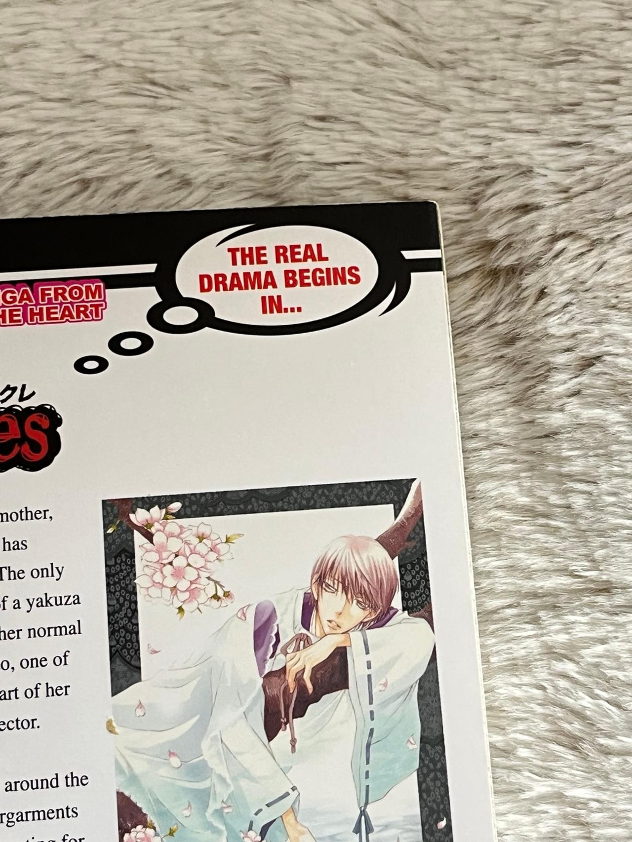 Wild Ones by Kiyo Fujiwara Vol 3 Near Mint 1st Print Shoujo Beat READ — image 9